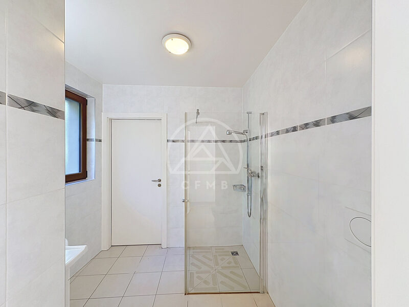 Appartement à Chêne-Bougeries, photo 9