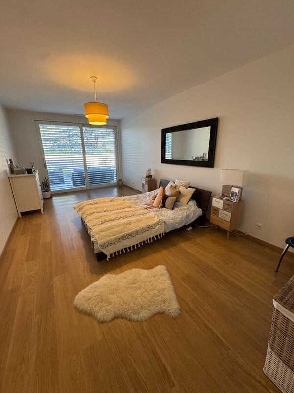Appartement à Vésenaz, photo 10